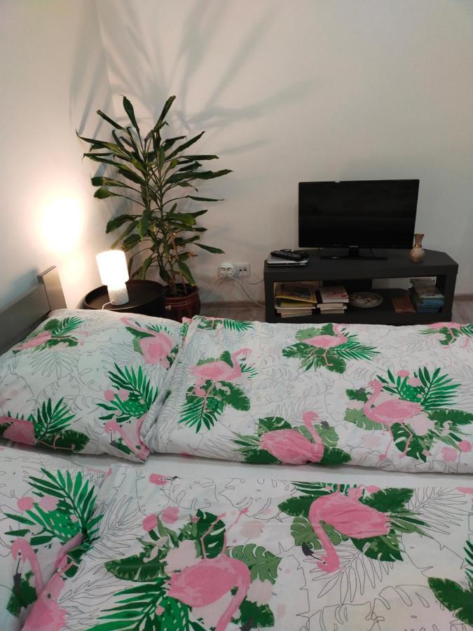 Przy Rynku Apartment Duszniki Zdroj Bagian luar foto